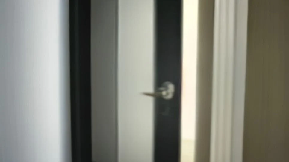 a draft stopper preventing cold air from entering under a door